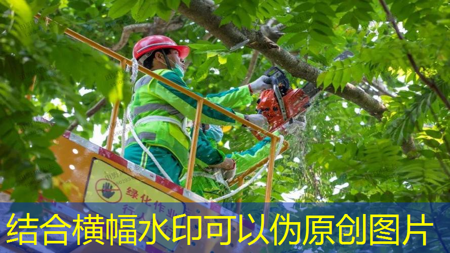 永州园林绿化工程公司姜伟简介