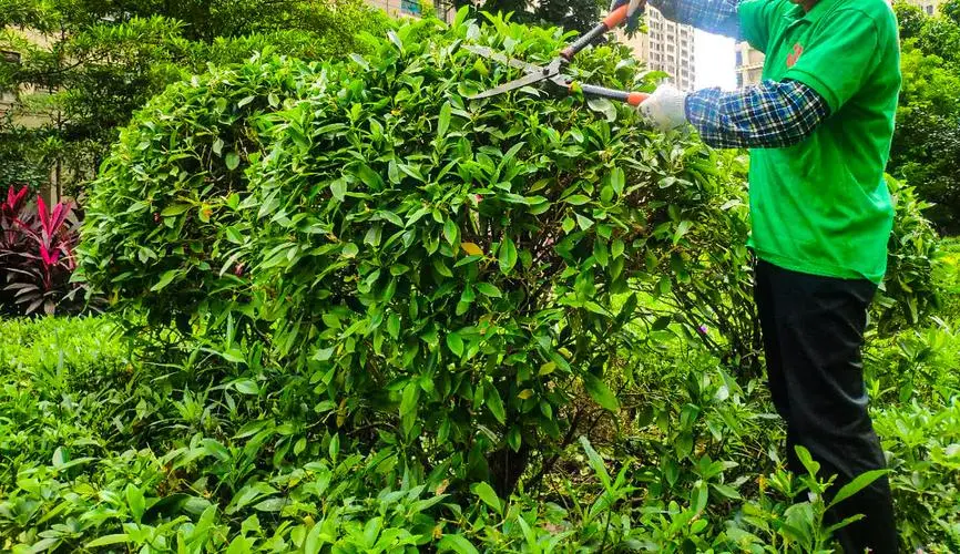 南通市政绿化属于什么行业类别