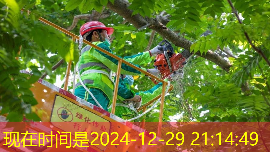 林州绿化公司招聘信息最新