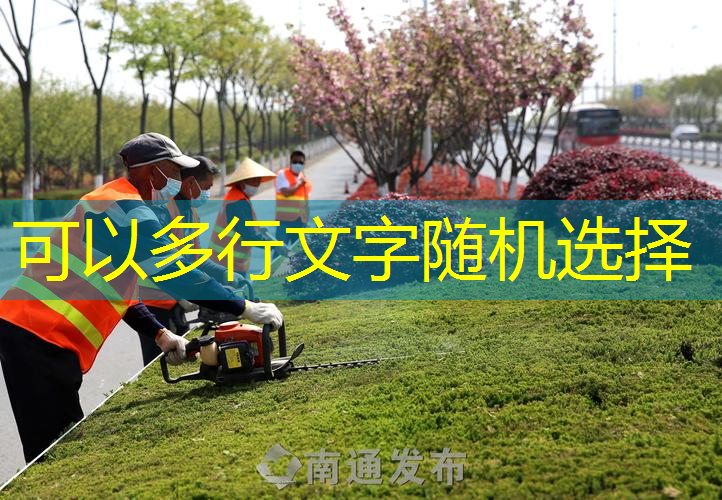 无锡市精品绿化工程