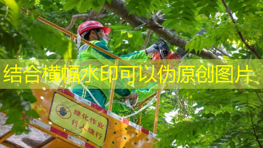 屋顶花园绿化工程市政施工方案
