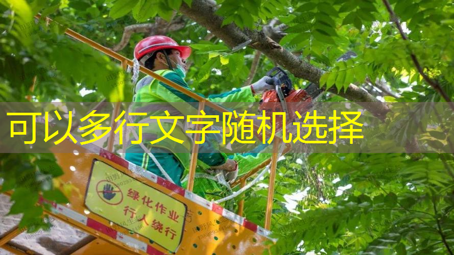 现代简约园林景观设计风格