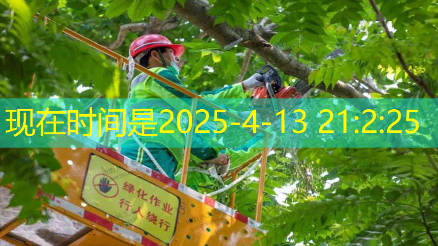 别墅园林景观设计带车道